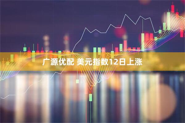 广源优配 美元指数12日上涨